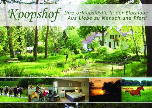 Ferienwohnung Sternenhimmel Bleckede Exterior foto